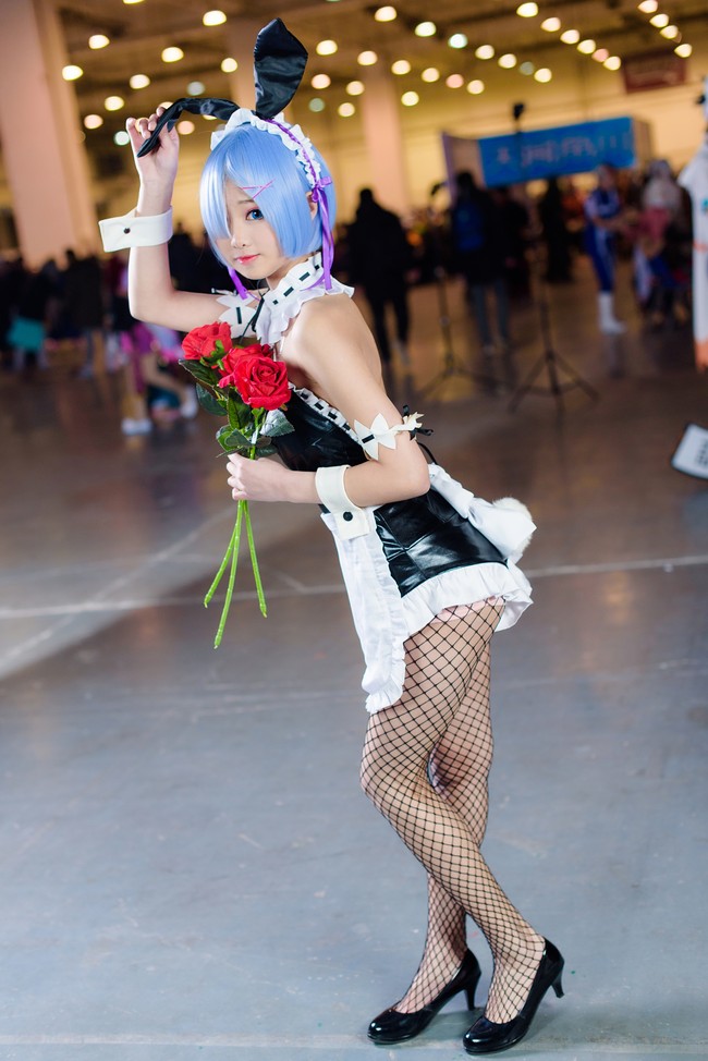 柬埔寨即日起断绝所有与越南间走私红木通道|华体官方版网站登录入口