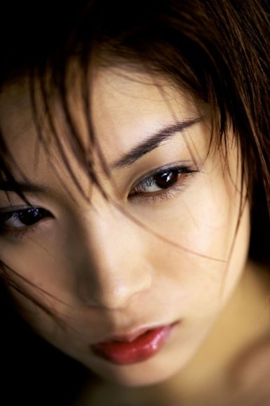 华体官方版网站登录入口